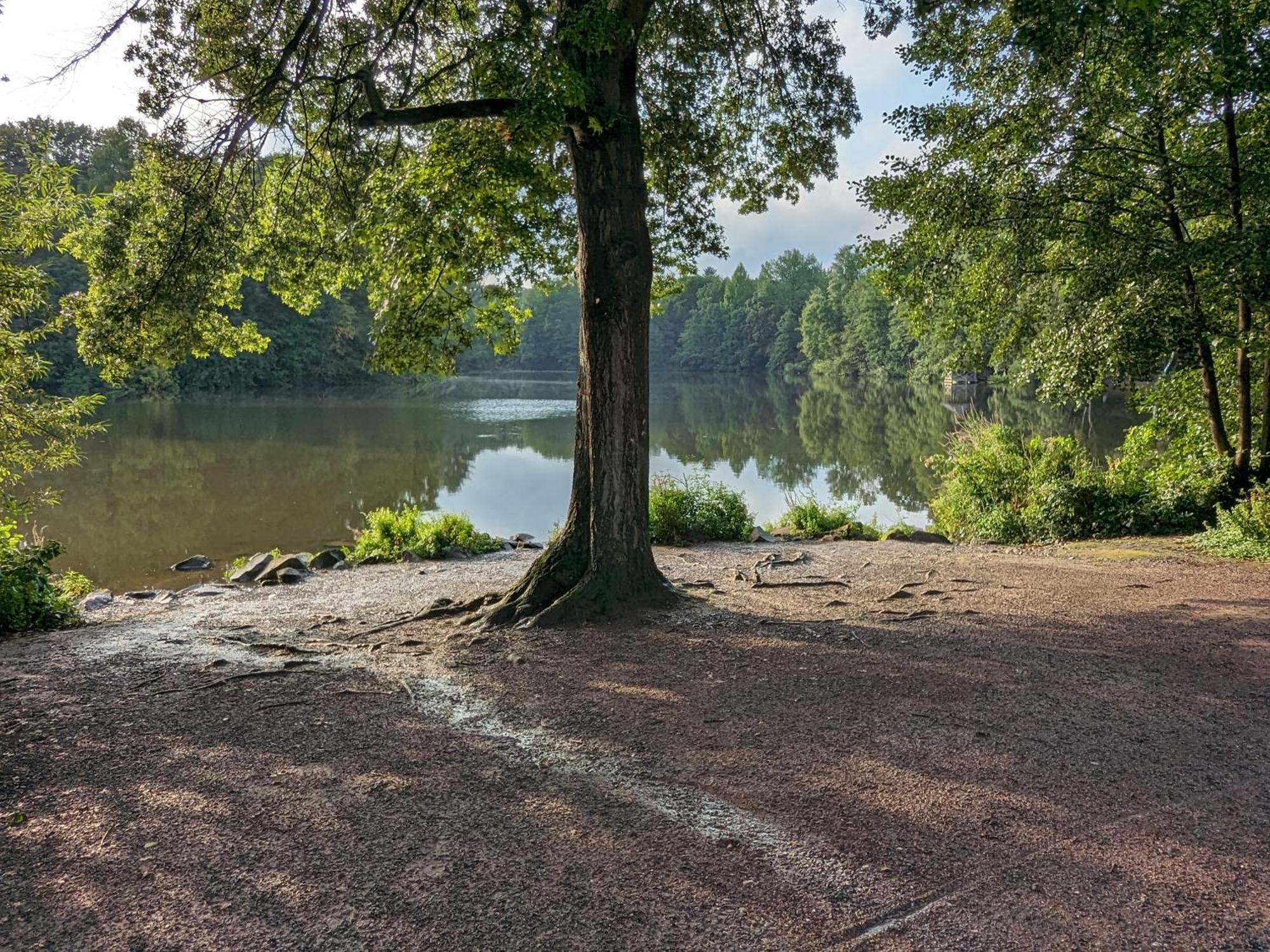 Gemuetliches Und Helles Naehe Von Koeln * Bergisch Gladbach